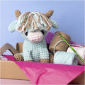DIY Kit Amigurumi Ko